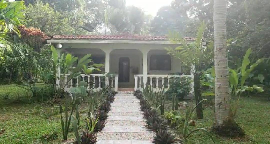 Hostal Cecilia Puerto Viejo de Talamanca Luaran gambar