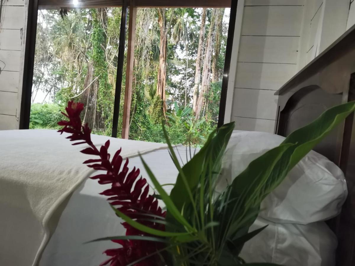 Hostal Cecilia Puerto Viejo de Talamanca Luaran gambar