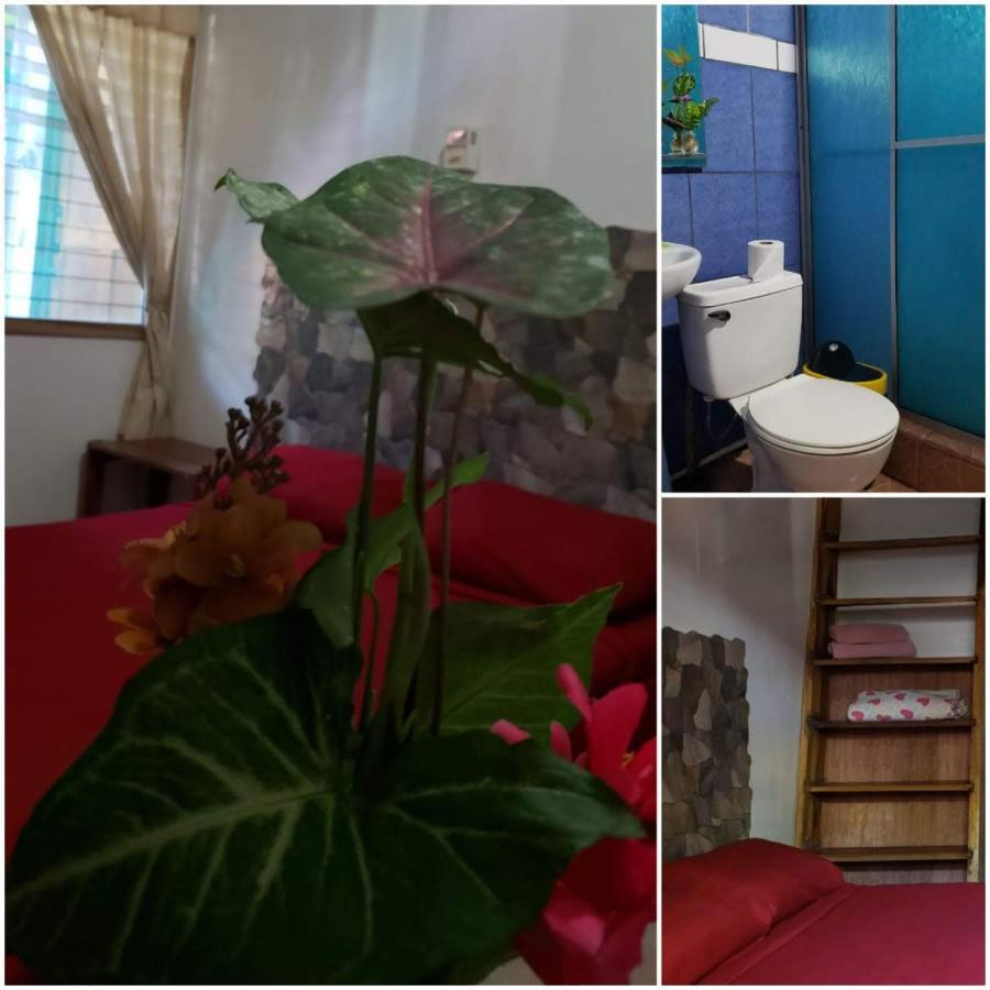 Hostal Cecilia Puerto Viejo de Talamanca Luaran gambar